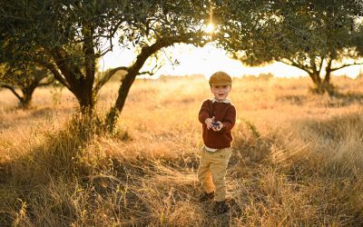 Odesa of My Childhood #3: Green Apricots